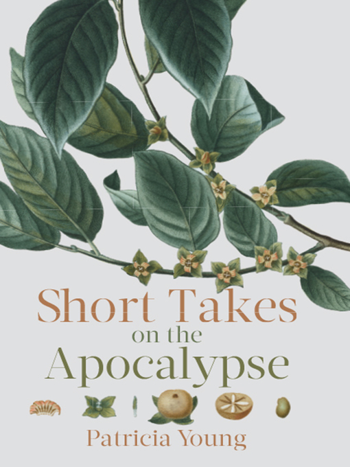 Title details for Short Takes on the Apocalypse by Patricia Young - Available